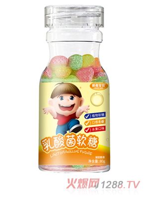 岭南宝贝乳酸菌软糖 80g