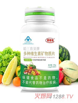 修修乐哈三育贝牌多种维生素矿物质片