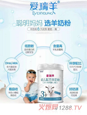 爱瑞羊youe配方羊奶粉（12-36月龄，3段）