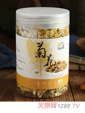俏皮羊菊花