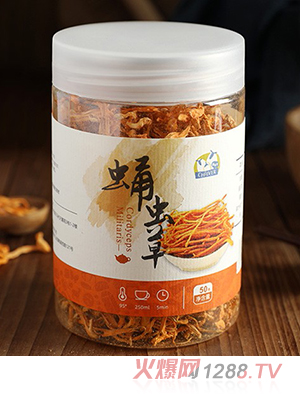 俏皮羊蛹蟲(chóng)草