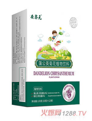安黎元蒲公英菊花植物飲料