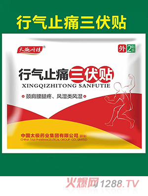 天施叶桂行气止痛宣肺止咳扶阳固本暖宫小儿增免健脾和胃三伏贴代理