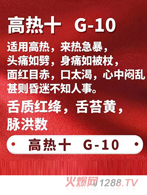 一言本草保健贴-高热十G-10