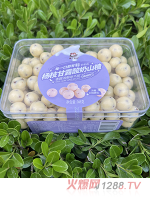 兩個(gè)寶貝楊枝甘露酸奶山楂