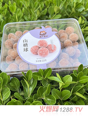兩個(gè)寶貝山楂球