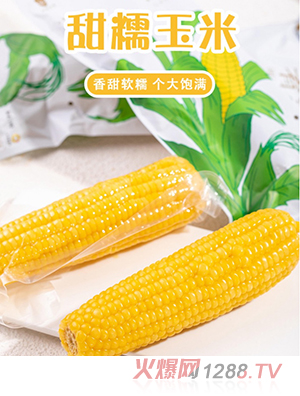 �����в���Ŵ����