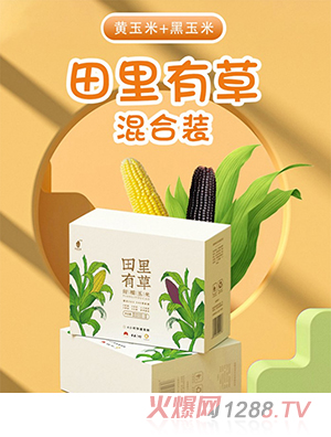 �����в���Ŵ���׻�װ