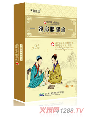 齊魯康正穴位壓力刺激貼（頸肩腰腿痛）