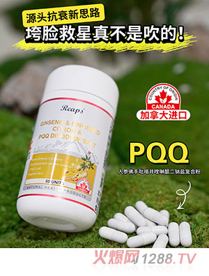 Reaps瑞普斯人參佛手吡咯并喹啉醌二鈉鹽復合粉
