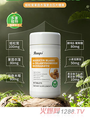 Reaps瑞普斯姬松茸萊茵衣藻復合壓片糖果
