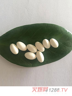 凝膠糖果代加工