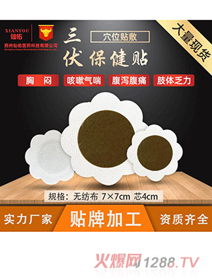 厂家现货三伏贴冬季调理穴位贴温灸发热贴草本保健三九贴批发代发