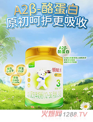 领赋羊youe配方羊奶粉(12-36月龄，3段)
