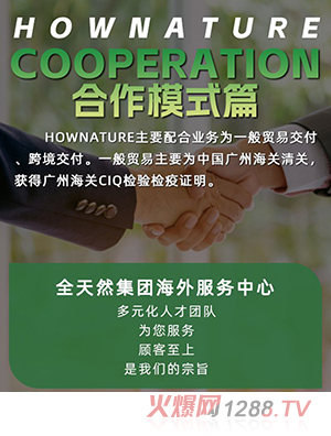 合作模式篇