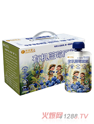 光合至上有機(jī)藍(lán)莓原漿