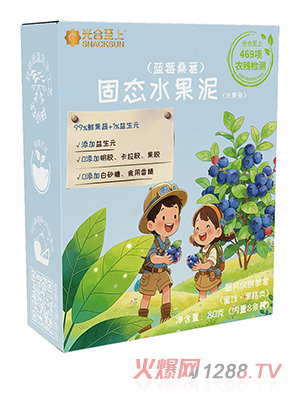 光合至上藍(lán)莓桑葚固態(tài)水果泥（水果條）
