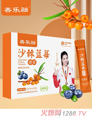 沙棘藍(lán)莓原漿OEM代加工