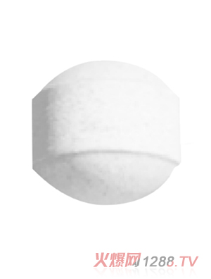 片剂OEM/ODM代加工 丸剂500mg