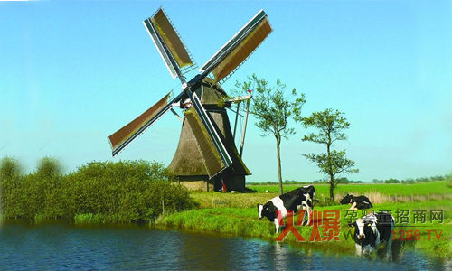 世界各地好奶源有哪些呢_怎样选择洋奶粉,洋奶