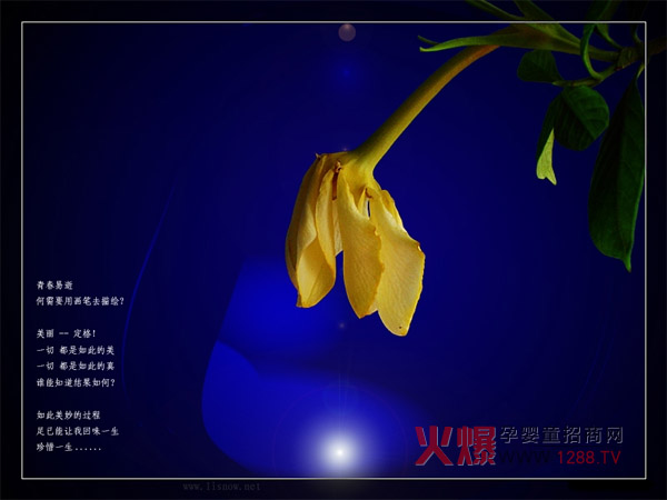 放下一切重走青春,你敢吗?_早会分享_本站新闻